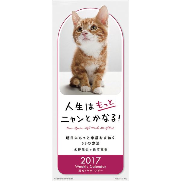 書籍 人生はもっとニャンとかなる 17年カレンダー Cl 370 ウイング キャラアニ Com