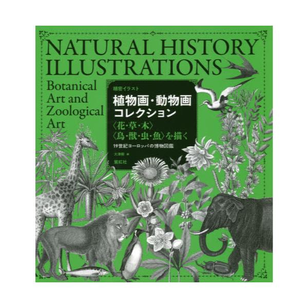 書籍 植物画 動物画コレクション 花 草 木 鳥 獣 虫 魚 を描く 19世紀ヨーロッパの博物図鑑 精密イラスト 紫紅社 キャラアニ Com