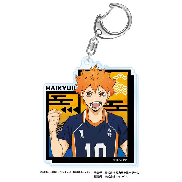日向 アクキー ミュージックフェスタ ハイキュー