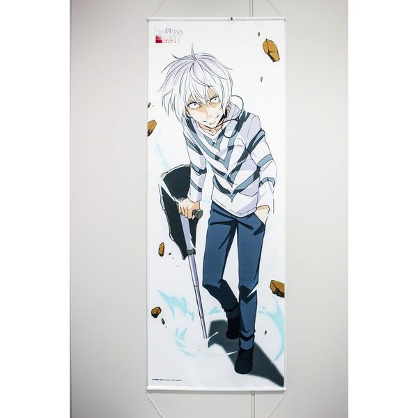 グッズ とある科学の一方通行 アクセラレータ ビッグタペストリー キャラアニ キャラアニ Com