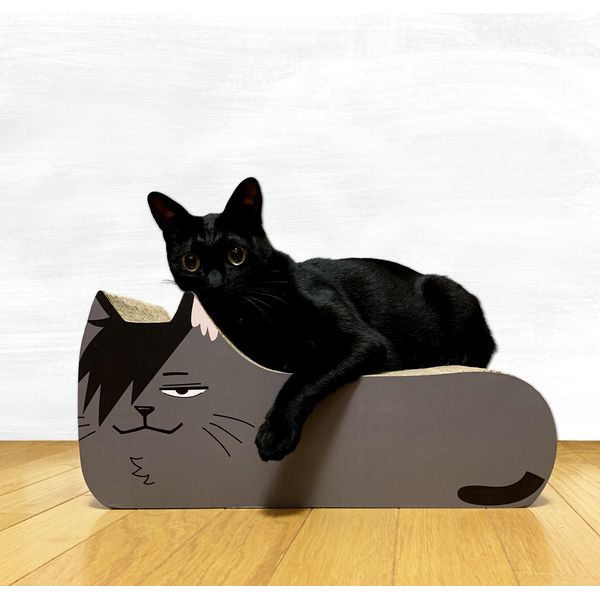 グッズ: 【キャラアニ限定】ハイキュー!! TO THE TOP 猫の爪とぎ