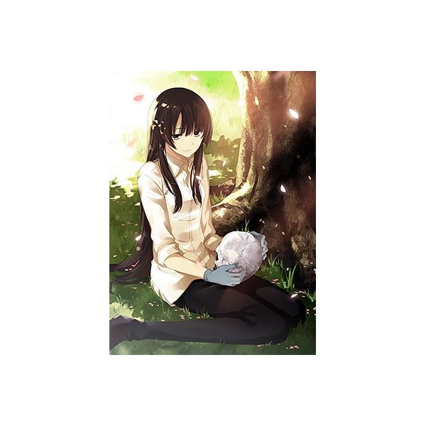 同梱不可 第1巻 全巻購入特典 アニメ描き下ろしイラスト使用全巻収納box 引換シリアルコー 中古 櫻子さんの足下には死体が埋まっている アニメ