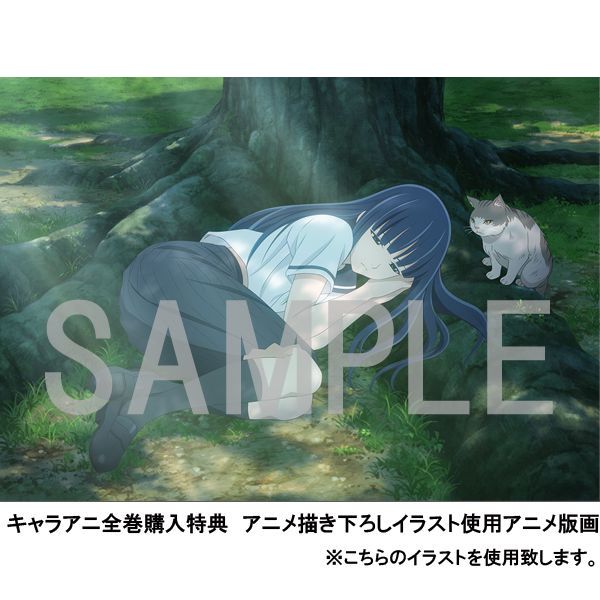 国内正規品 限定 サクラダリセット Box2 アニメーション Dvd 返品種別a 在庫限りッ アウトレット Www Y Hb Co Il