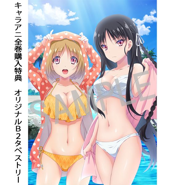 Dvd ようこそ実力至上主義の教室へ 第3巻 キャラアニ特典付き Kadokawa キャラアニ Com