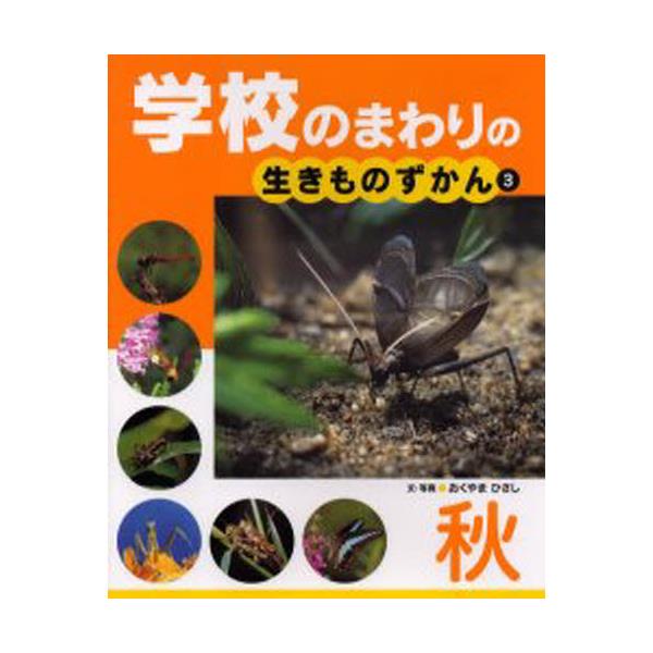 数量限定価格 ５巻セット おくやまひさし 1000円以上送料無料 学校のまわりの植物ずかん 図鑑 ちしき Www Theashleycentre Co Uk