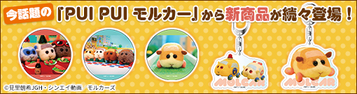 PUI PUI �����J�[