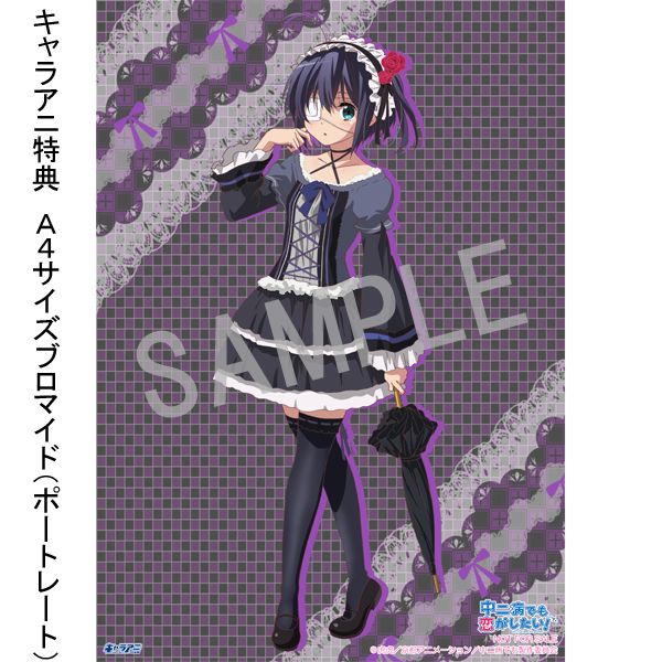 �L�����A�j���T