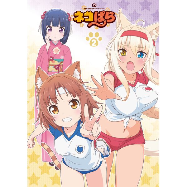 lRς Blu-ray BOX II yBDz LAjTt