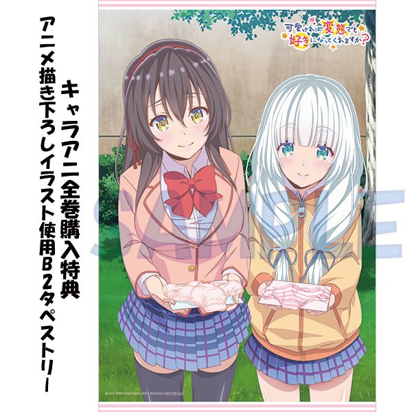 『可愛ければ変態でも好きになってくれますか？』Ａ３クリアポスター Amazon.co.jp: 可愛ければ変態でも好きになってくれますか? 12 (MF文庫