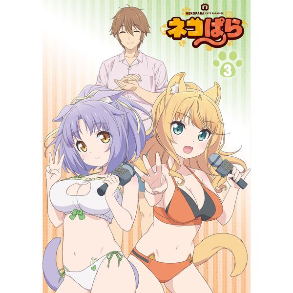 ネコぱら」特集｜キャラアニ.com